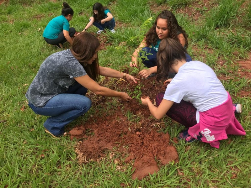 Secretaria de Meio Ambiente realiza 3ª edição do ‘Plante Verde’